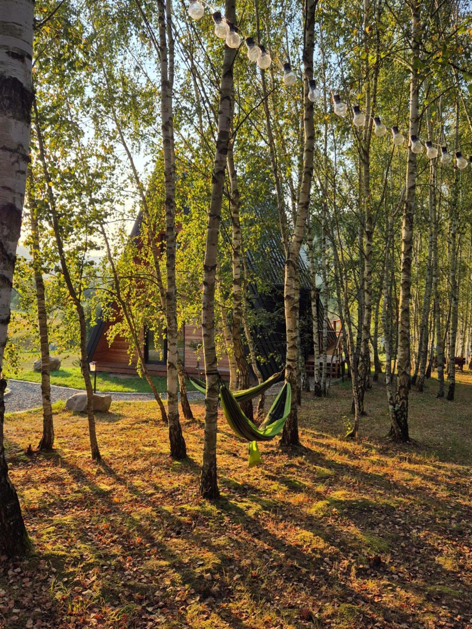 Brda Na Skraju Lasu Wambierzyce Esterno foto